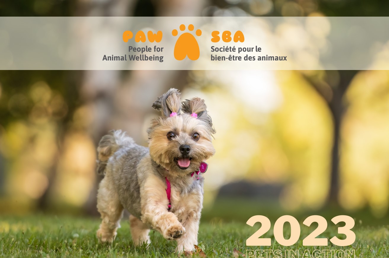 People for Animal Wellbeing 2024 Pet Photo Calendar Contest/ Concours